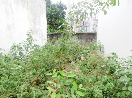 1) Li id 365 - Pic 2.JPG